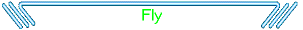 Fly